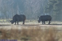 /album/fotogalerij/img-0280-jpg/