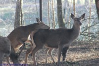 /album/fotogalerij/img-0284-jpg/