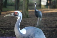 /album/fotogalerij/img-0293-jpg/