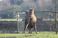 /album/fotogalerij/img-0299-jpg/