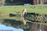 /album/fotogalerij/img-0306-jpg1/