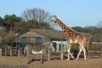 /album/fotogalerij/img-0336-jpg/