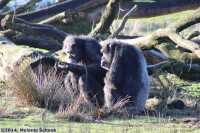 /album/fotogalerij/img-0340-jpg/