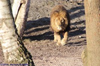 /album/fotogalerij/img-0344-jpg/