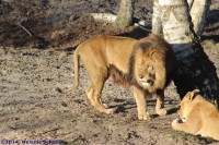 /album/fotogalerij/img-0349-jpg/