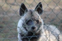 /album/fotogalerij/img-0366-jpg/