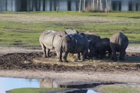 /album/fotogalerij/img-0371-jpg/