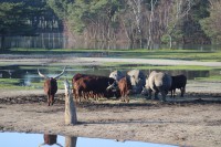 /album/fotogalerij/img-0372-jpg/