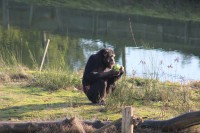 /album/fotogalerij/img-0380-jpg/