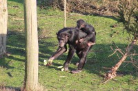 /album/fotogalerij/img-0386-jpg/