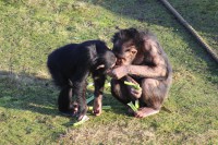 /album/fotogalerij/img-0393-jpg/