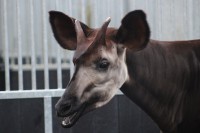 /album/fotogalerij/img-0410-jpg/