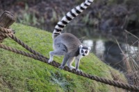 /album/fotogalerij/img-0419-jpg/