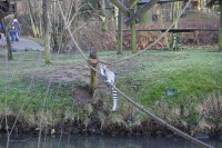 /album/fotogalerij/img-0420-jpg/