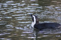 /album/fotogalerij/img-0425-jpg/