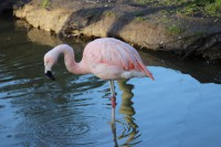 /album/fotogalerij/img-0427-jpg/