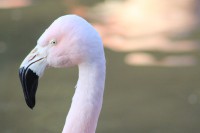 /album/fotogalerij/img-0428-jpg/