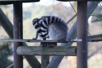 /album/fotogalerij/img-0433-jpg/