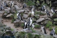 /album/fotogalerij-burgers-zoo/img-0042-jpg/