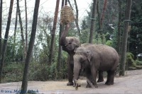 /album/fotogalerij-burgers-zoo/img-0050-jpg/