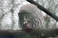 /album/fotogalerij-burgers-zoo/img-0126-jpg/