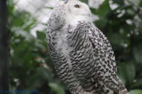 /album/fotogalerij-burgers-zoo/img-0133-jpg/