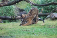 /album/fotogalerij-burgers-zoo/img-0194-jpg/