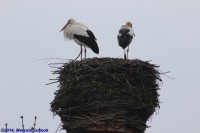 /album/fotogalerij-landschap/img-0723-jpg/