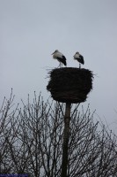 /album/fotogalerij-landschap/img-0724-jpg/