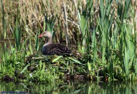 /album/fotogalerij-landschap/img-0923-jpg/