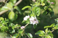 /album/fotogalerij-landschap/img-1125-jpg/