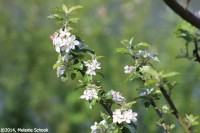 /album/fotogalerij-landschap/img-1127-jpg/