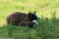 /album/fotogalerij-landschap/img-1130-jpg/