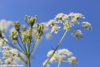 /album/fotogalerij-landschap/img-1162-jpg1/