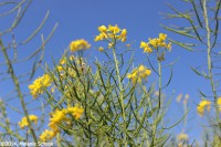 /album/fotogalerij-landschap/img-1166-jpg/