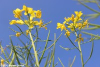 /album/fotogalerij-landschap/img-1168-jpg/