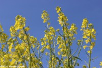 /album/fotogalerij-landschap/img-1175-jpg/