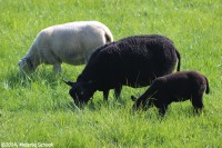 /album/fotogalerij-landschap/img-1197-jpg/