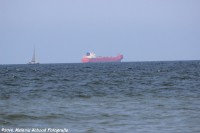 /album/scheveningen-31-07-2014/img-2204-jpg/