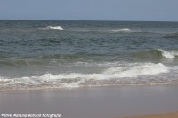 /album/scheveningen-31-07-2014/img-2208-jpg/